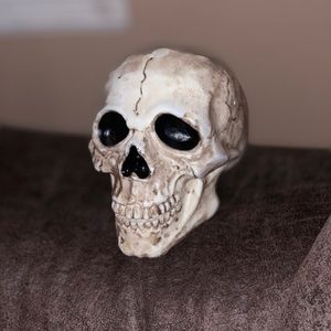 Meet your Posher, Adalberto